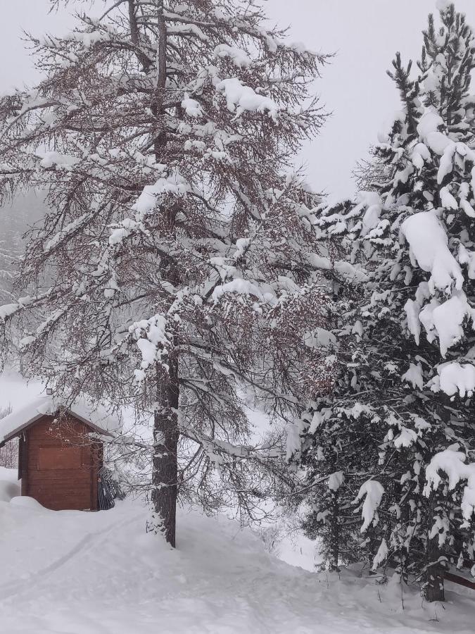 Appartement Montagne- Le Petit Chaillol Saint-Michel-de-Chaillol Eksteriør billede