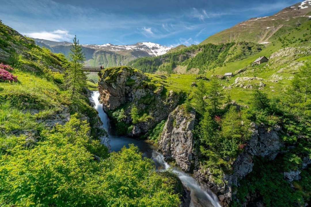 Appartement Montagne- Le Petit Chaillol Saint-Michel-de-Chaillol Eksteriør billede